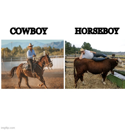 title | HORSEBOY; COWBOY | image tagged in memes | made w/ Imgflip meme maker