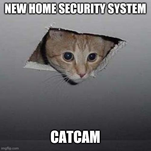 Ceiling Cat |  NEW HOME SECURITY SYSTEM; CATCAM | image tagged in memes,ceiling cat | made w/ Imgflip meme maker