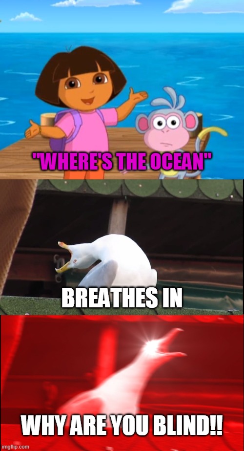 dora the blind fool | ''WHERE'S THE OCEAN"; BREATHES IN; WHY ARE YOU BLIND!! | image tagged in memes,inhaling seagull | made w/ Imgflip meme maker
