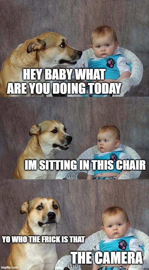 dog and baby | HEY BABY WHAT ARE YOU DOING TODAY; IM SITTING IN THIS CHAIR; YO WHO THE FRICK IS THAT; THE CAMERA | image tagged in memes,dad joke dog,anti meme | made w/ Imgflip meme maker