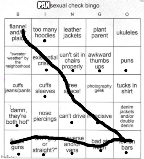 Bisexual Bingo | PAN | image tagged in bisexual bingo | made w/ Imgflip meme maker