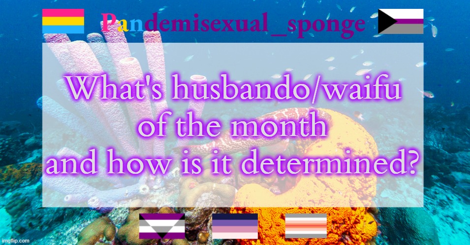 Pandemisexual_sponge temp | What's husbando/waifu of the month and how is it determined? | image tagged in pandemisexual_sponge temp,demisexual_sponge | made w/ Imgflip meme maker