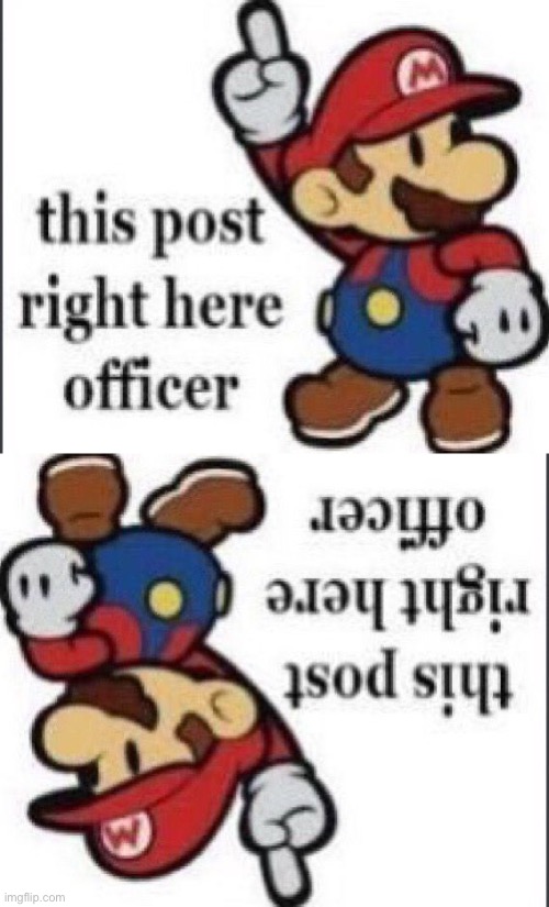 image tagged in this post right here officer paper mario | made w/ Imgflip meme maker