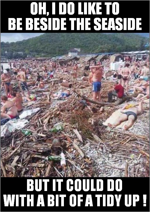 On The Polluted Beach | OH, I DO LIKE TO BE BESIDE THE SEASIDE; BUT IT COULD DO WITH A BIT OF A TIDY UP ! | image tagged in seaside,beach,pollution | made w/ Imgflip meme maker