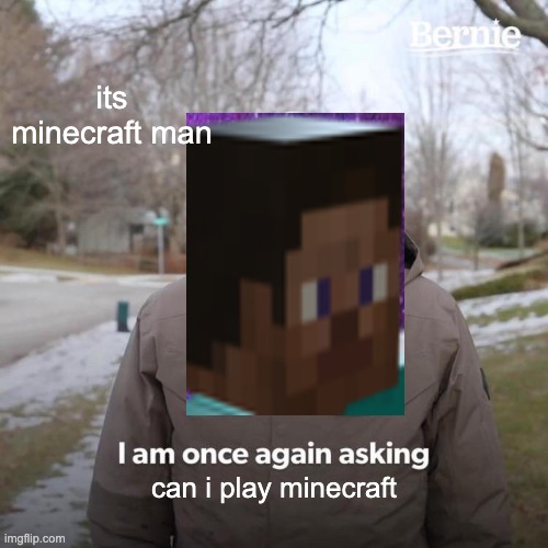 minecraft man | its minecraft man; can i play minecraft | image tagged in memes,bernie i am once again asking for your support | made w/ Imgflip meme maker