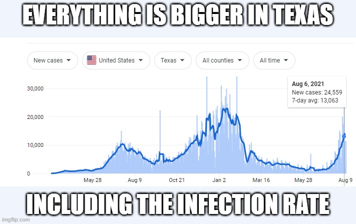EVERYTHING IS BIGGER IN TEXAS INCLUDING THE INFECTION RATE | made w/ Imgflip meme maker