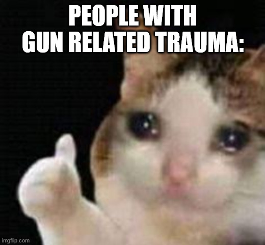 Approved crying cat | PEOPLE WITH GUN RELATED TRAUMA: | image tagged in approved crying cat | made w/ Imgflip meme maker