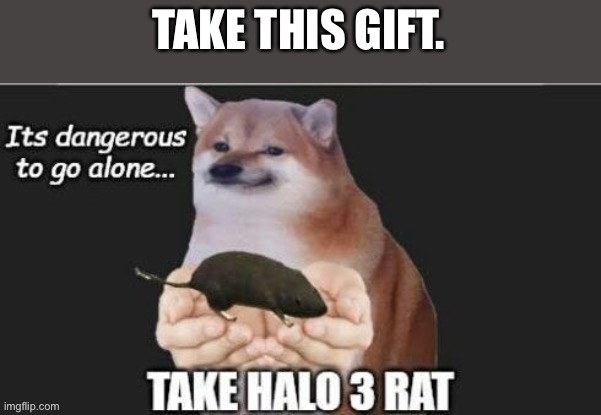 Take this gift | image tagged in halo 3 rat,gift,halo,halo 3,rat | made w/ Imgflip meme maker