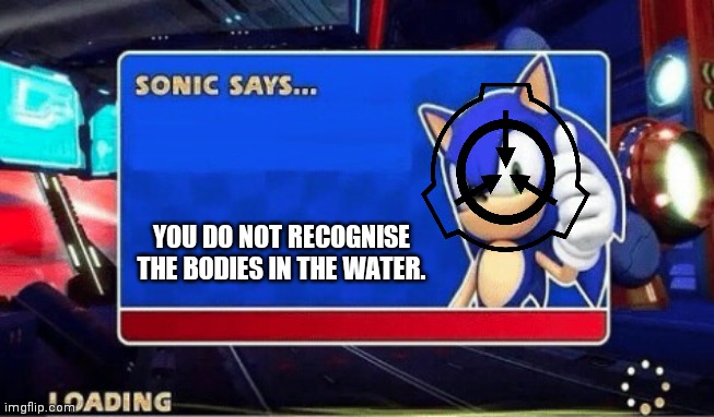 Scp |  YOU DO NOT RECOGNISE THE BODIES IN THE WATER. | image tagged in memes,funny,scp,sonic says,scp meme,scp document | made w/ Imgflip meme maker