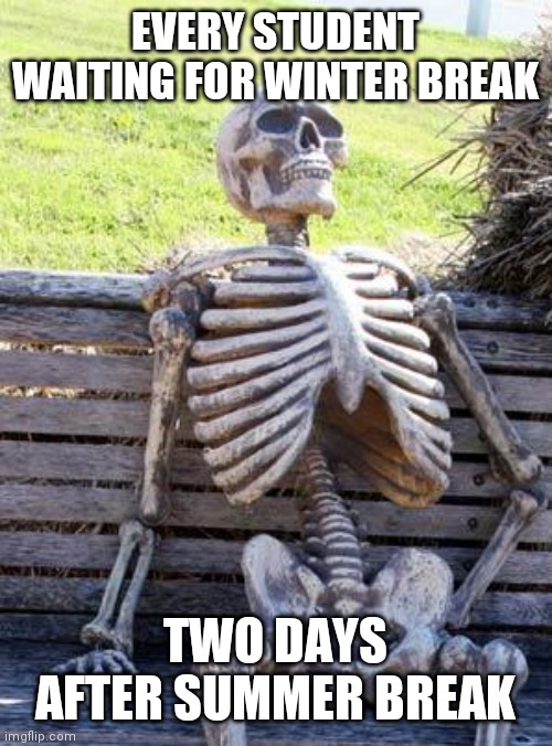 (._. ) | EVERY STUDENT WAITING FOR WINTER BREAK; TWO DAYS AFTER SUMMER BREAK | image tagged in memes,waiting skeleton,school,why are you reading this,stop reading the tags | made w/ Imgflip meme maker