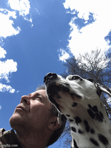 image tagged in gifs | made w/ Imgflip images-to-gif maker