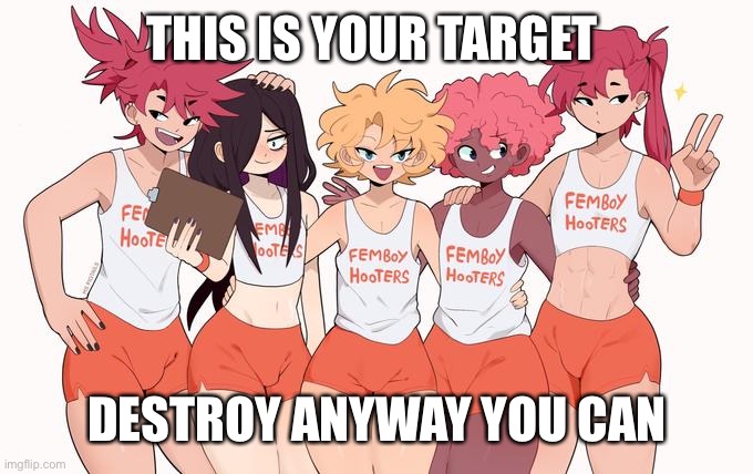 KILL THEM | THIS IS YOUR TARGET; DESTROY ANYWAY YOU CAN | image tagged in femboy hooters | made w/ Imgflip meme maker