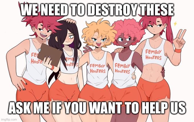 KkK | WE NEED TO DESTROY THESE; ASK ME IF YOU WANT TO HELP US | image tagged in femboy hooters | made w/ Imgflip meme maker