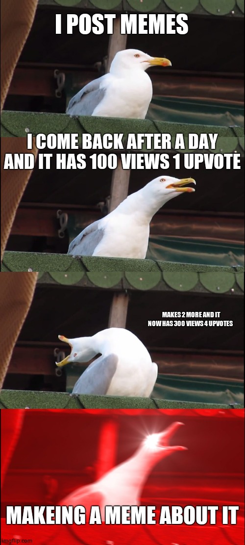 Me thinking: I am a god. | I POST MEMES; I COME BACK AFTER A DAY AND IT HAS 100 VIEWS 1 UPVOTE; MAKES 2 MORE AND IT NOW HAS 300 VIEWS 4 UPVOTES; MAKEING A MEME ABOUT IT | image tagged in memes,inhaling seagull | made w/ Imgflip meme maker