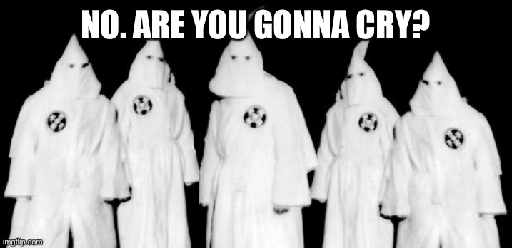 kkk | NO. ARE YOU GONNA CRY? | image tagged in kkk | made w/ Imgflip meme maker