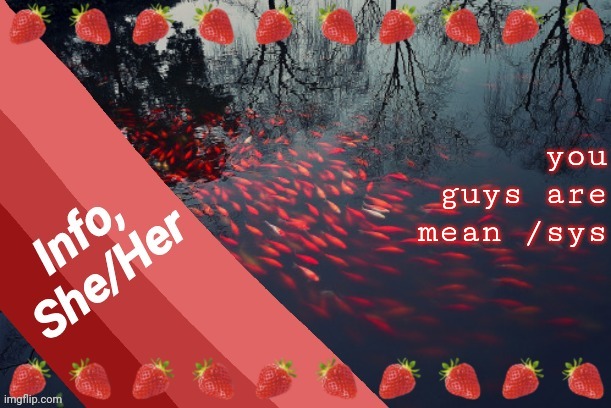 you guys are mean /sys | image tagged in info | made w/ Imgflip meme maker