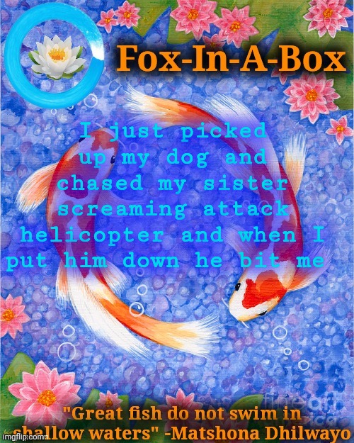 I just picked up my dog and chased my sister screaming attack helicopter and when I put him down he bit me | image tagged in fox-in-a-box fish temp | made w/ Imgflip meme maker