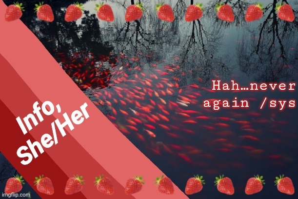 Hah…never again /sys | image tagged in info | made w/ Imgflip meme maker