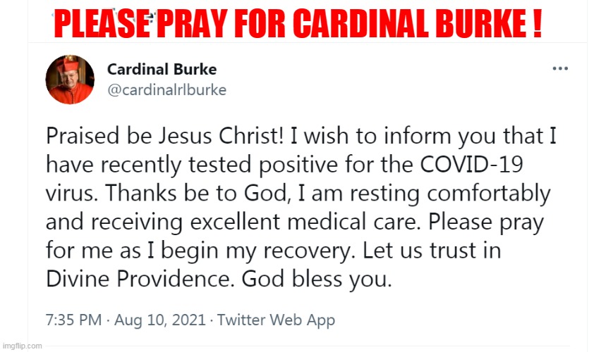 PLEASE PRAY FOR CARDINAL BURKE ! | made w/ Imgflip meme maker