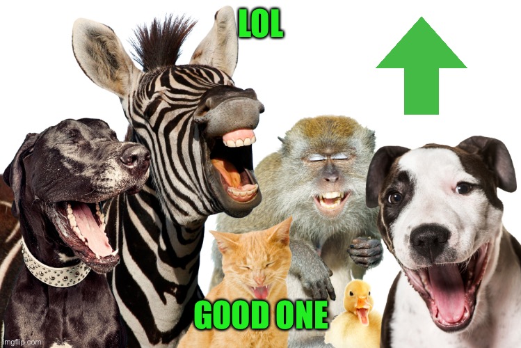 Laughing Animals | LOL GOOD ONE | image tagged in laughing animals | made w/ Imgflip meme maker