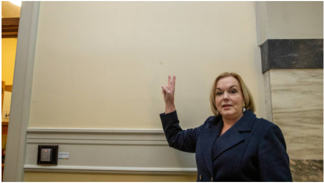 High Quality Judith Collins Blank Meme Template