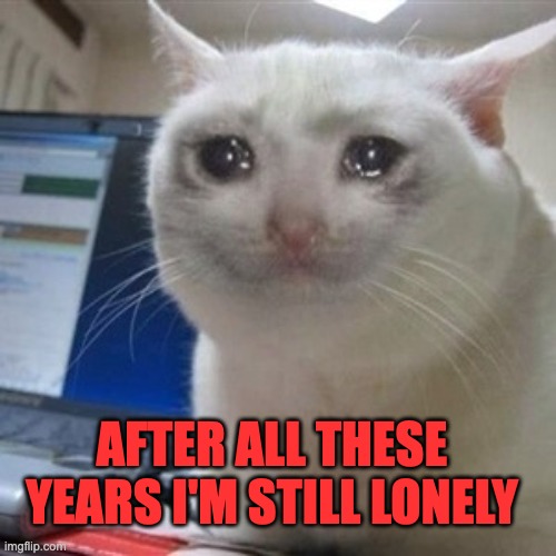 Crying cat | AFTER ALL THESE YEARS I'M STILL LONELY | image tagged in crying cat | made w/ Imgflip meme maker
