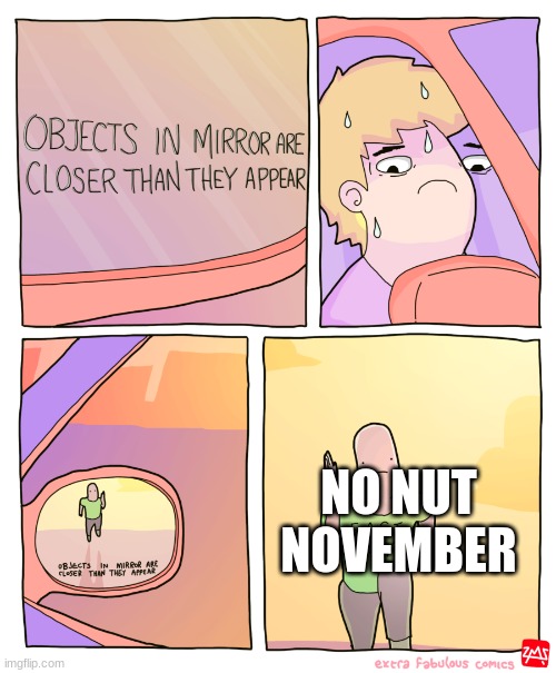 Ha the funny month. No Acorn suits in Super Mario Maker 2 | NO NUT NOVEMBER | image tagged in objects in mirror | made w/ Imgflip meme maker