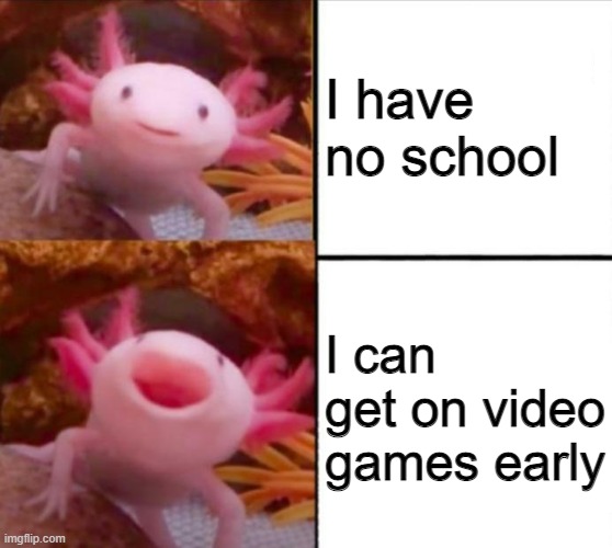 true tho | I have no school; I can get on video games early | image tagged in axolotl drake | made w/ Imgflip meme maker