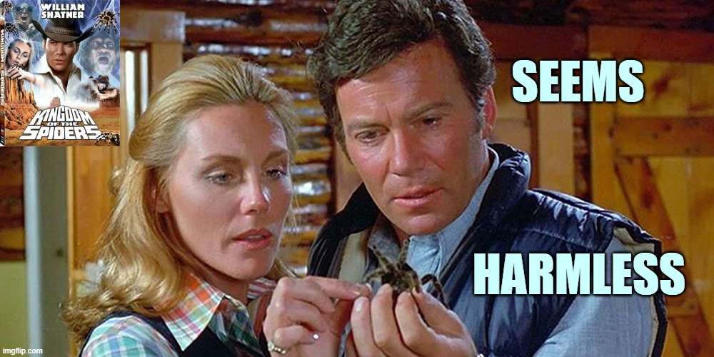 Don't be like Bill in "Kingdom of the Spiders" (1977) starring William Shatner and Tiffany Bolling | SEEMS HARMLESS | image tagged in movies,bad movies,1970's,william shatner,spiders,be like bill | made w/ Imgflip meme maker