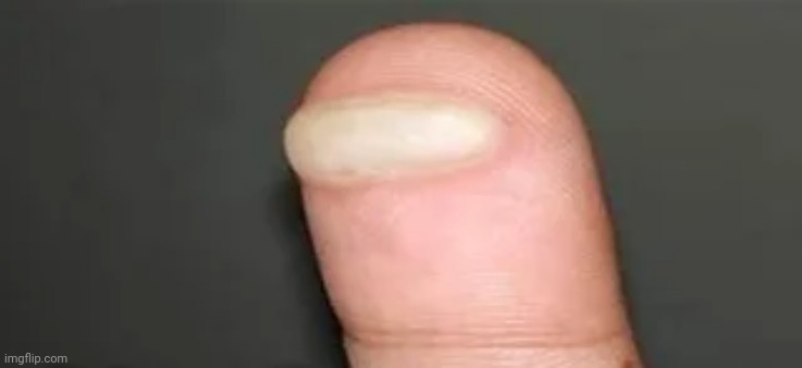 Sus | made w/ Imgflip meme maker