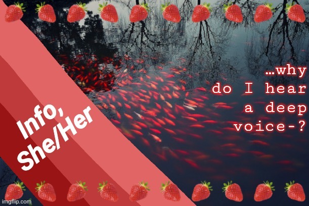 …why do I hear a deep voice-? | image tagged in info | made w/ Imgflip meme maker