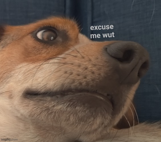 excuse me wut | made w/ Imgflip meme maker