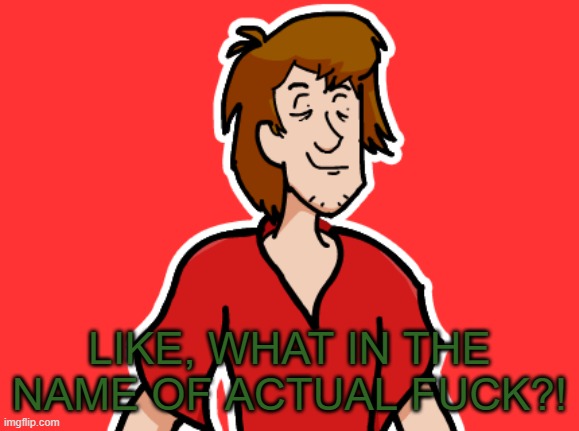 LIKE, WHAT IN THE NAME OF ACTUAL FUCK?! | made w/ Imgflip meme maker