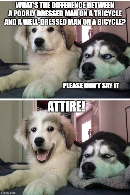 Bad pun dogs |  WHAT'S THE DIFFERENCE BETWEEN A POORLY DRESSED MAN ON A TRICYCLE AND A WELL-DRESSED MAN ON A BICYCLE? PLEASE DON'T SAY IT; ATTIRE! | image tagged in bad pun dogs | made w/ Imgflip meme maker
