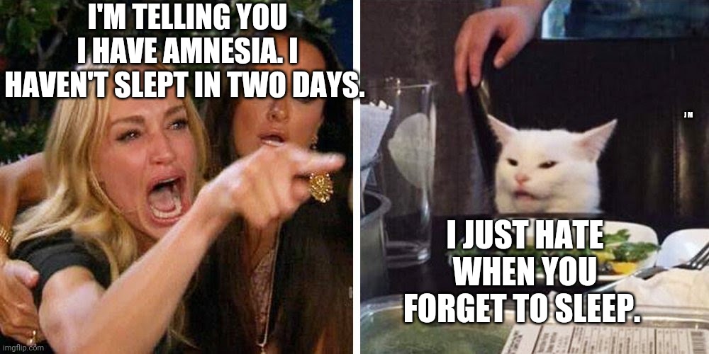 Smudge the cat | I'M TELLING YOU I HAVE AMNESIA. I HAVEN'T SLEPT IN TWO DAYS. J M; I JUST HATE WHEN YOU FORGET TO SLEEP. | image tagged in smudge the cat | made w/ Imgflip meme maker