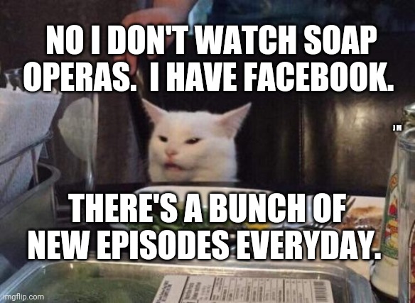 Salad cat | NO I DON'T WATCH SOAP OPERAS.  I HAVE FACEBOOK. J M; THERE'S A BUNCH OF NEW EPISODES EVERYDAY. | image tagged in salad cat | made w/ Imgflip meme maker