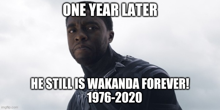 Black Panther Remembered |  ONE YEAR LATER; HE STILL IS WAKANDA FOREVER!
    1976-2020 | image tagged in black panther,chadwick boseman,marvel | made w/ Imgflip meme maker