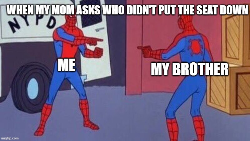 spiderman pointing at spiderman | WHEN MY MOM ASKS WHO DIDN'T PUT THE SEAT DOWN; ME; MY BROTHER | image tagged in spiderman pointing at spiderman | made w/ Imgflip meme maker