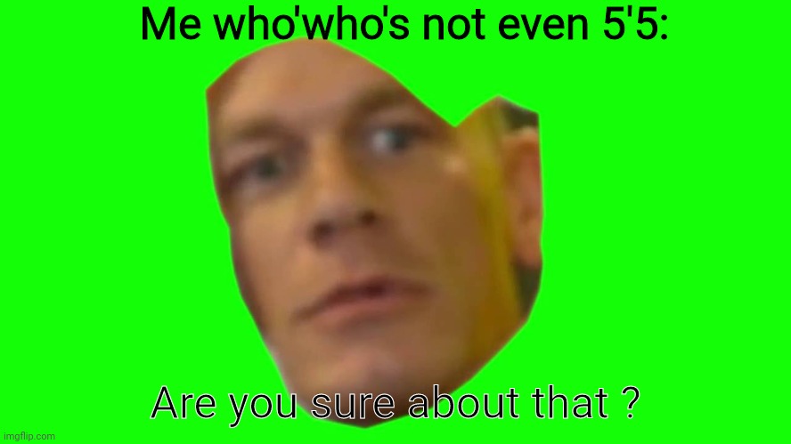 Are you sure about that? (Cena) | Me who'who's not even 5'5: Are you sure about that ? | image tagged in are you sure about that cena | made w/ Imgflip meme maker