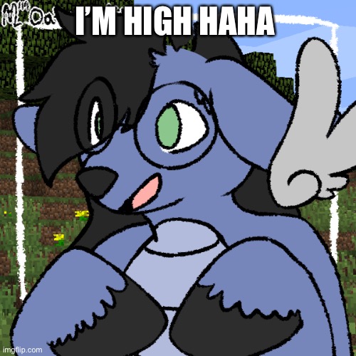 ha | I’M HIGH HAHA | image tagged in fursona thing | made w/ Imgflip meme maker