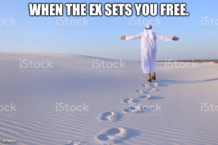 Intel | WHEN THE EX SETS YOU FREE. | image tagged in intel | made w/ Imgflip meme maker