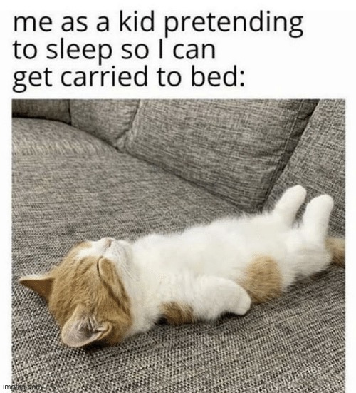 aww this is cute tho | image tagged in funny,cats,cute | made w/ Imgflip meme maker