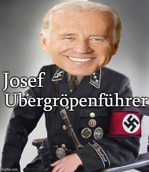 I am pleased with my results | Josef ; Ubergröpenführer | image tagged in pedo joe,nazi,child molestor,democrats | made w/ Imgflip meme maker