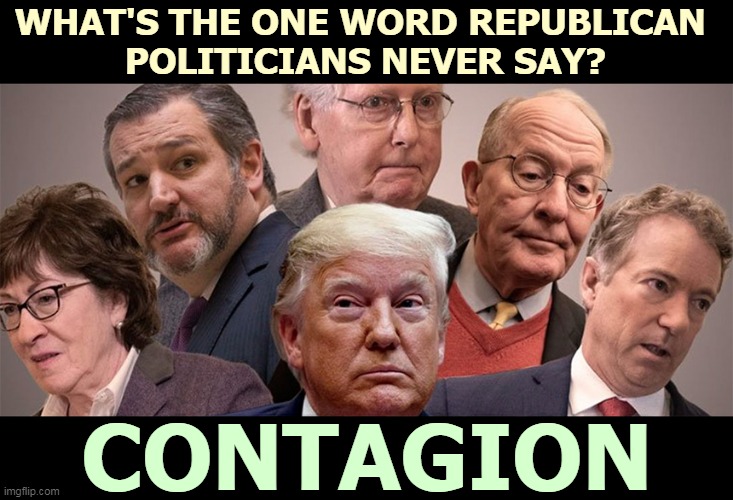 Personal rights don't exist in a vacuum. They've got to be balanced against contagion. | WHAT'S THE ONE WORD REPUBLICAN 
POLITICIANS NEVER SAY? CONTAGION | image tagged in pandemic,covid-19,republicans,stupid | made w/ Imgflip meme maker