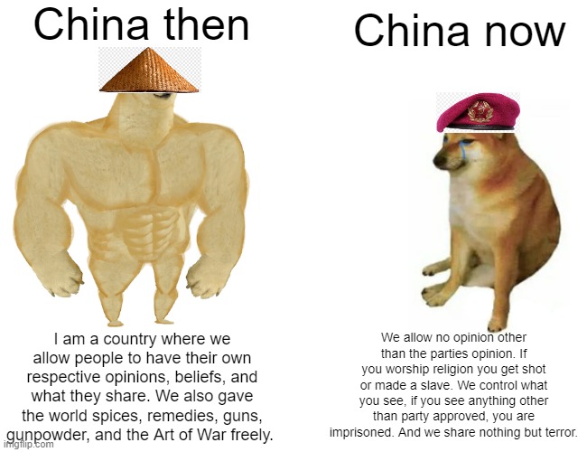 Buff Doge vs. Cheems Meme | China then; China now; We allow no opinion other than the parties opinion. If you worship religion you get shot or made a slave. We control what you see, if you see anything other than party approved, you are imprisoned. And we share nothing but terror. I am a country where we allow people to have their own respective opinions, beliefs, and what they share. We also gave the world spices, remedies, guns, gunpowder, and the Art of War freely. | image tagged in memes,buff doge vs cheems,china,ancient china,ccp china,truth | made w/ Imgflip meme maker
