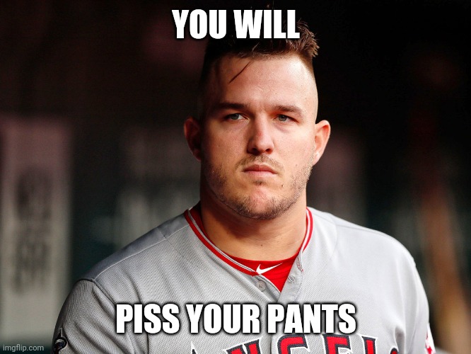 YOU WILL; PISS YOUR PANTS | image tagged in baseball | made w/ Imgflip meme maker