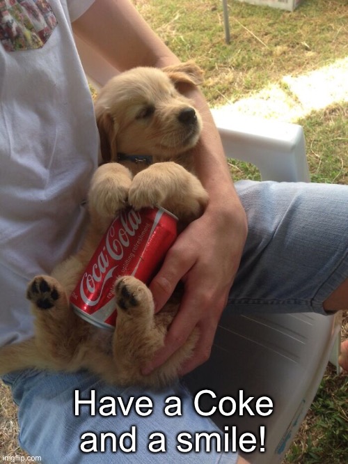 Beating the Heat | Have a Coke and a smile! | image tagged in funny memes,funny dogs,cute dog | made w/ Imgflip meme maker