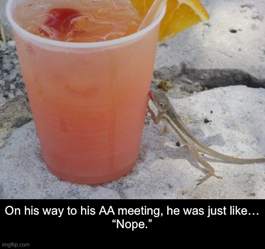 Sauced Sal | On his way to his AA meeting, he was just like…
“Nope.” | image tagged in funny memes,summer,drinks | made w/ Imgflip meme maker