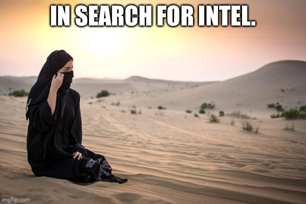 Intel | IN SEARCH FOR INTEL. | image tagged in intel | made w/ Imgflip meme maker