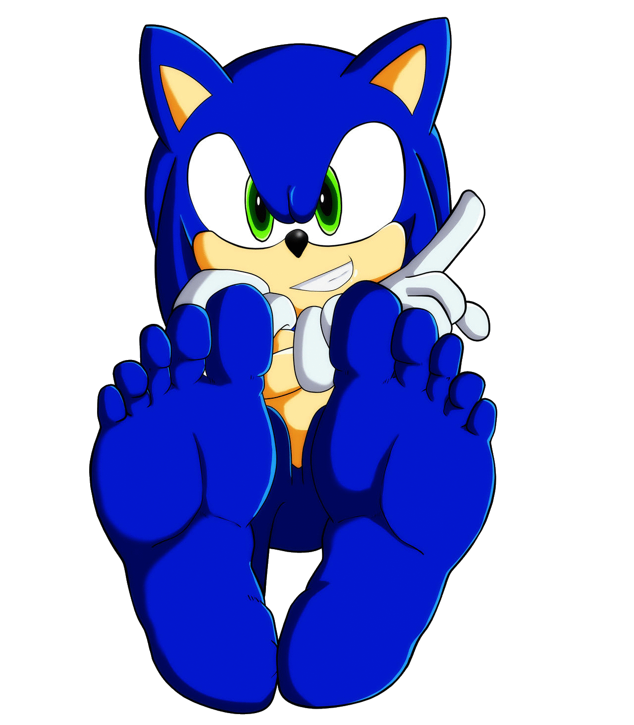 High Quality Sonic's Feet Blank Meme Template
